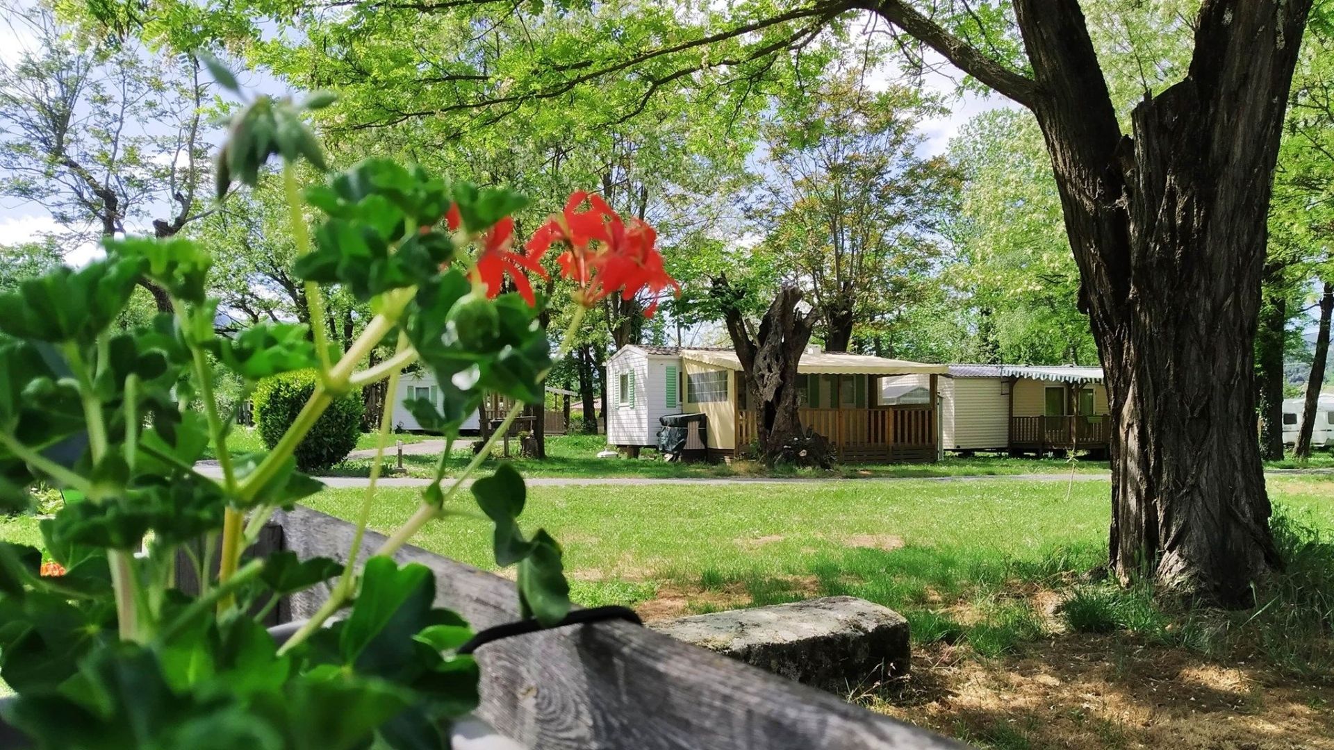 stoom Gietvorm Koken Camping Castanhada - Camping familial en Sud Ardèche au pied des Cévennes