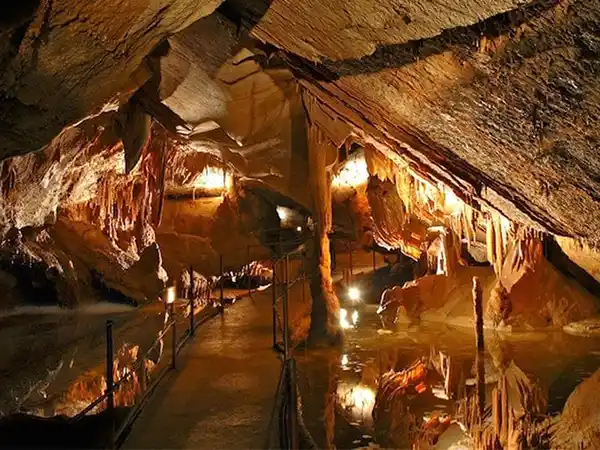 Grotte de la Cocalière