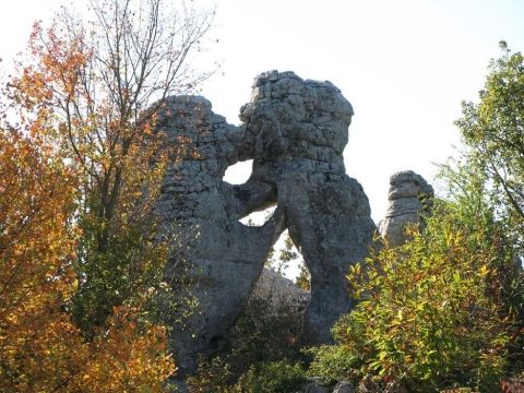 L'ours et le lion - Le bois de Païolive